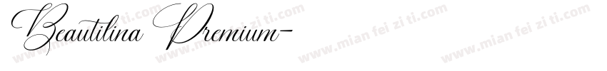 Beautilina Premium字体转换